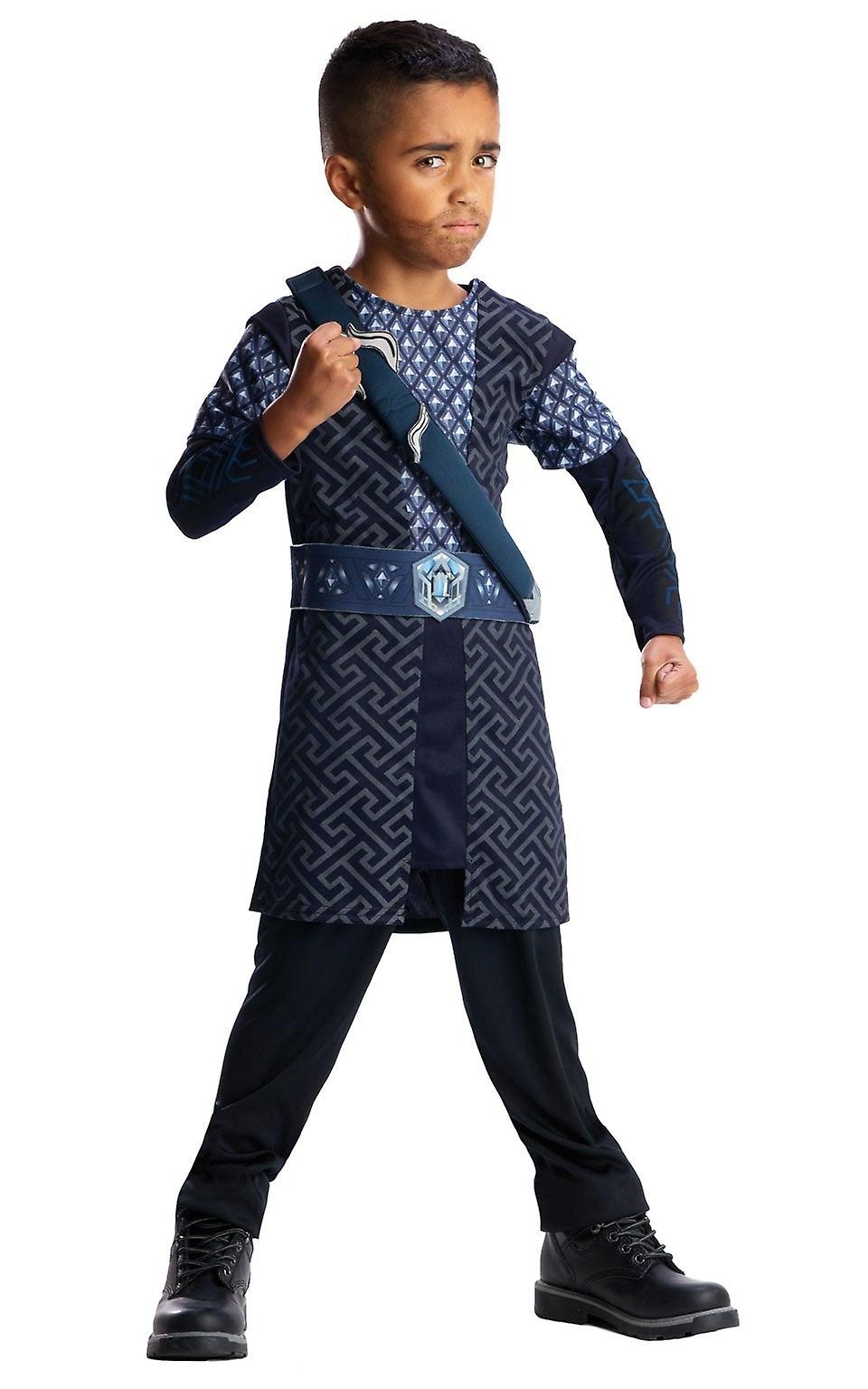 Thorin Costume 883022l