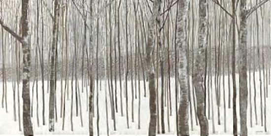 Woods in Winter Poster