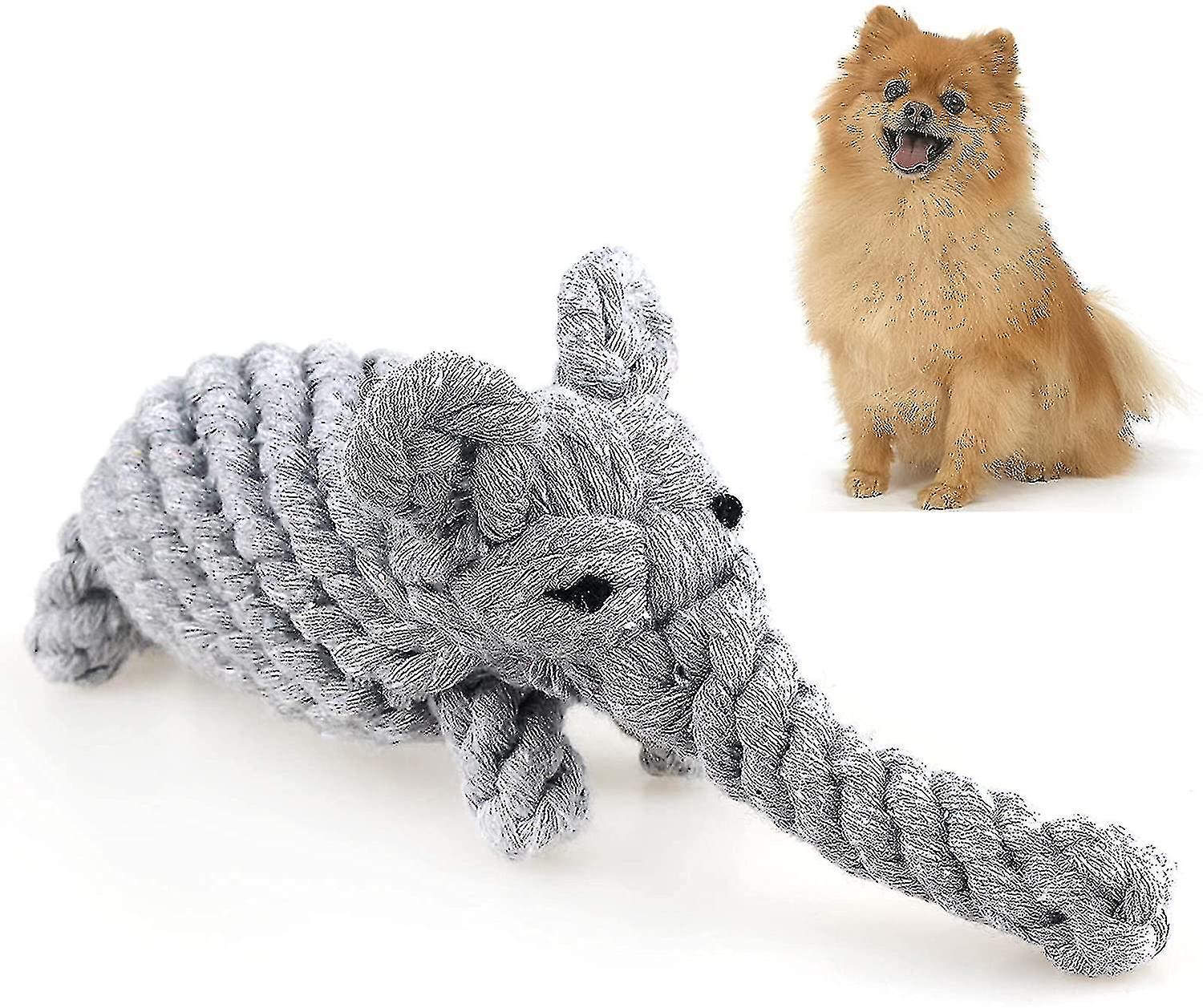 digital Timer, 2-pack Basic High Decibel Loud Alarm Countdown Digital Timer Digital Timer Kitchen Timer Event Timer