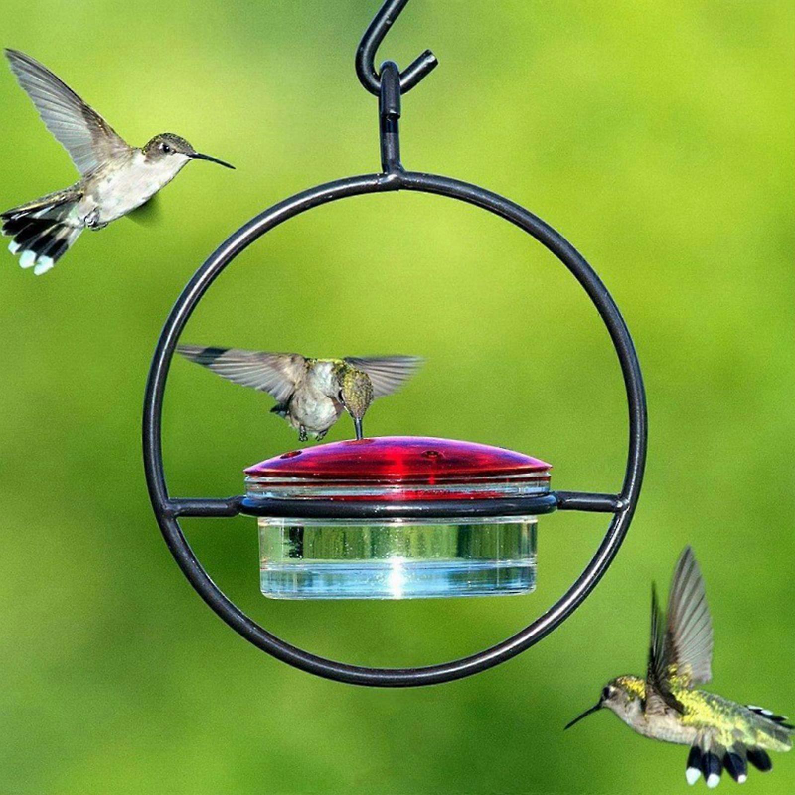 Hanging Humming Bird Feeder, Ant and Bee Proof, Hummingbird Feeders for Outdoors Hanging, Window Bird Feeders for Outside
