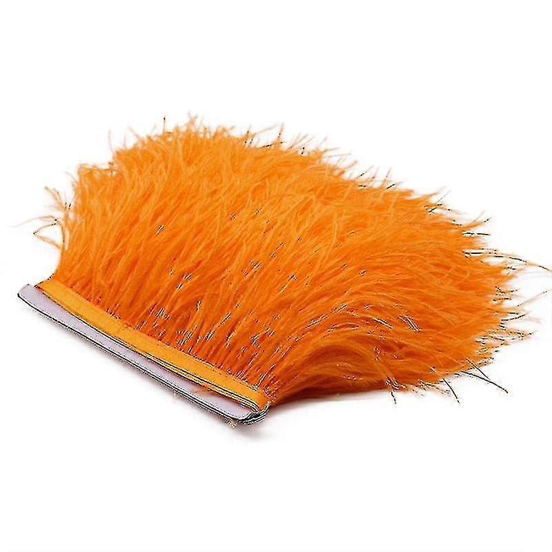 2m Struisvogelveren Trim Pluimen Lint Selvage
