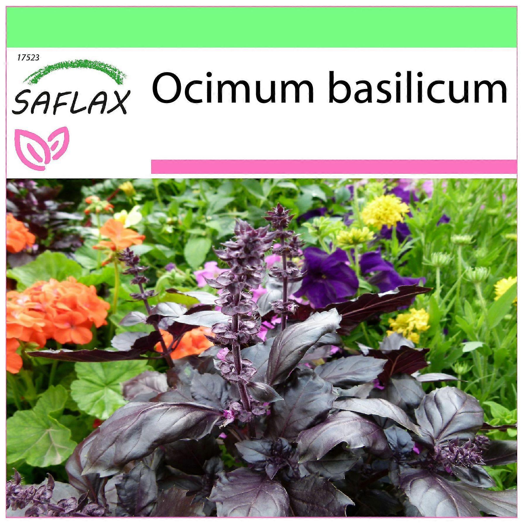 Saflax - Garden to go - 200 seeds - Red Basil - Basilic rouge - Basilico rosso - Albahaca - Rotes Basilikum