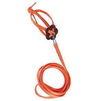 Fugl sele papegøye bånd justerbare fugler nylon AntiBite tau for utendørs trening (oransje)