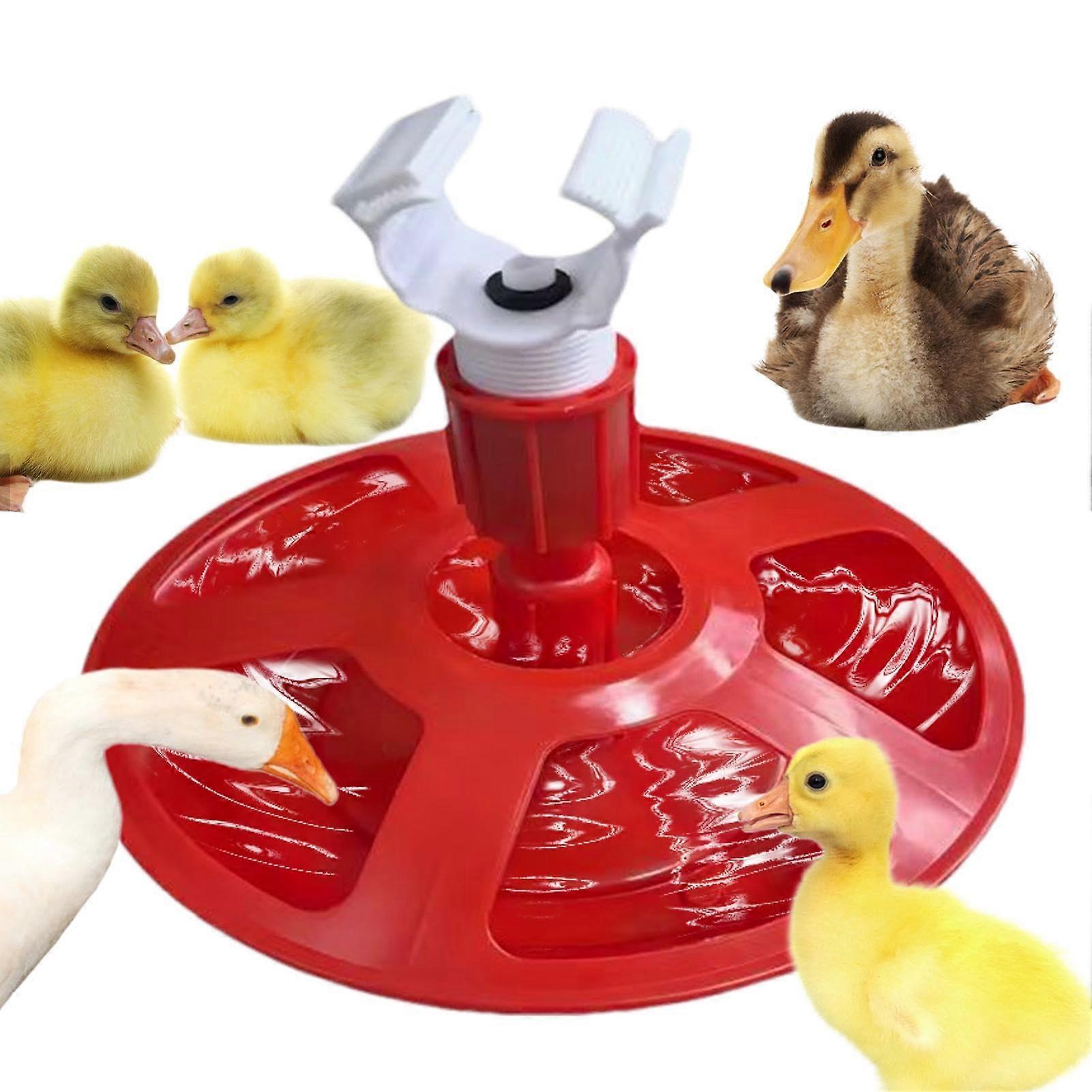 Water dispenser for chicken coop, poultry drinker, duck drinker for ducks, chicks