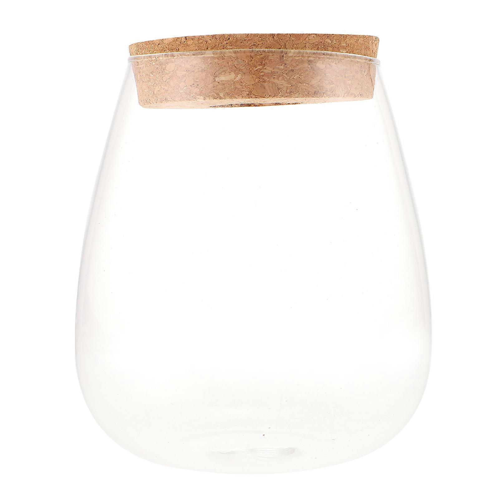 Terrarium Jar for Unique DIY Projects and Stylish Decorations