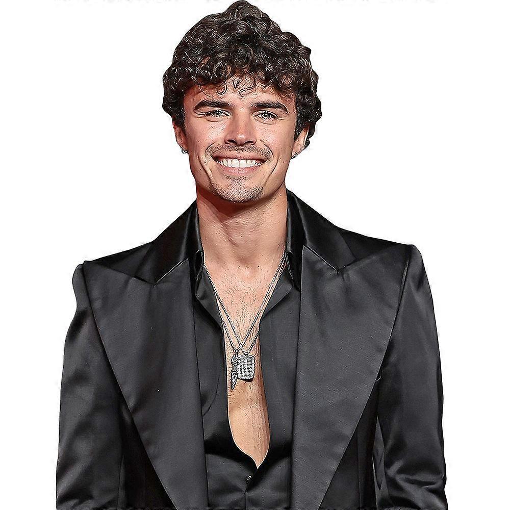 Nicolas Vansteenberghe (Black Suit) Half Body Buddy Cutout