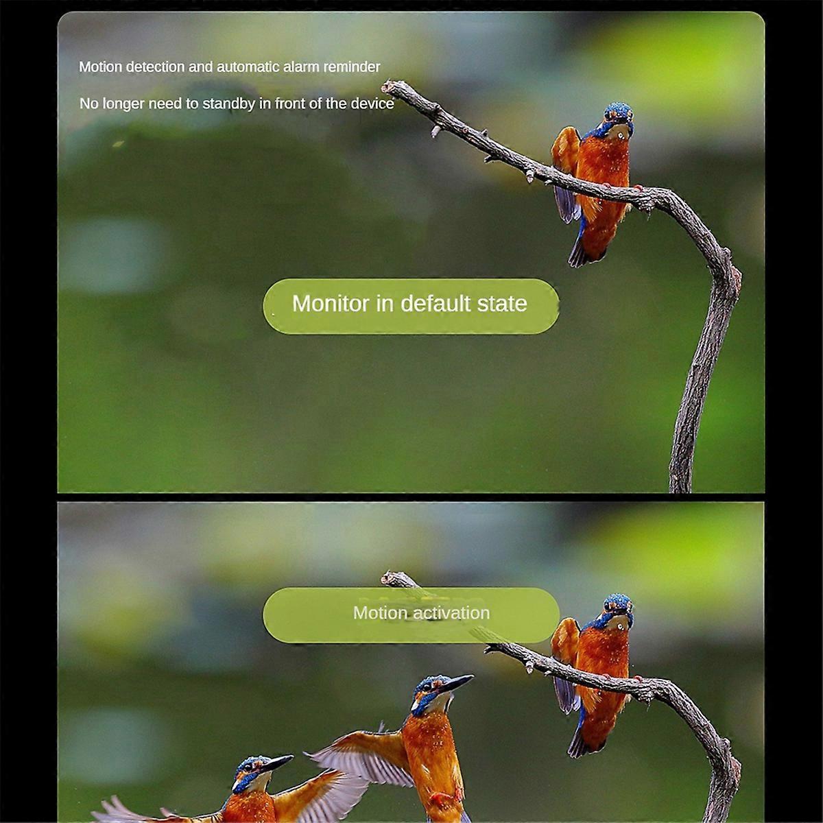 Bird Watching Telescope WiFi Connection Phone HD Electronic Eyepiece