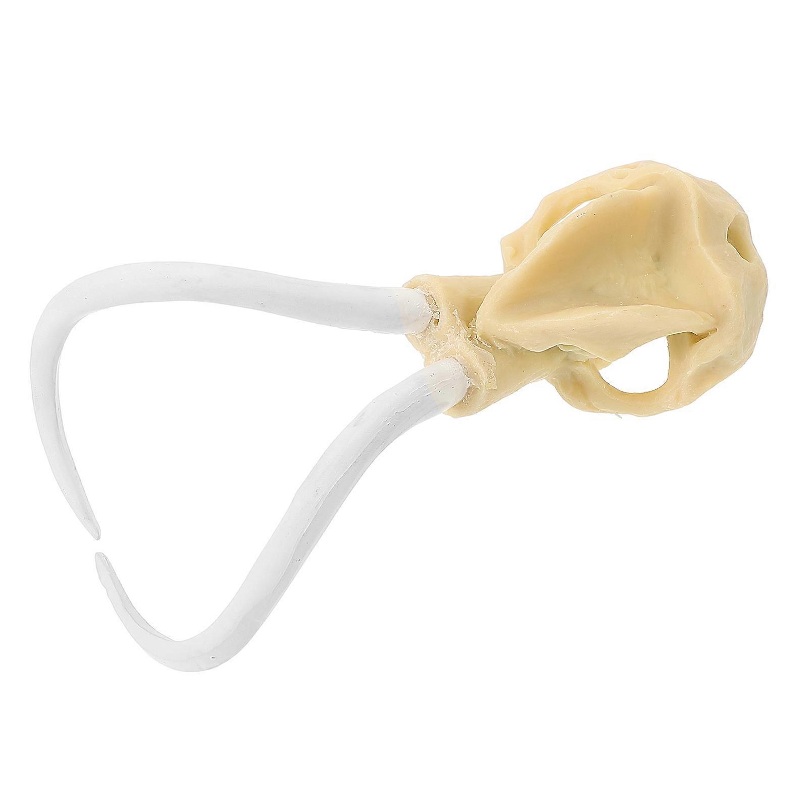 Fish Tank Decor 2Pcs Aquarium Underwater Decor Safe Material Compact Size