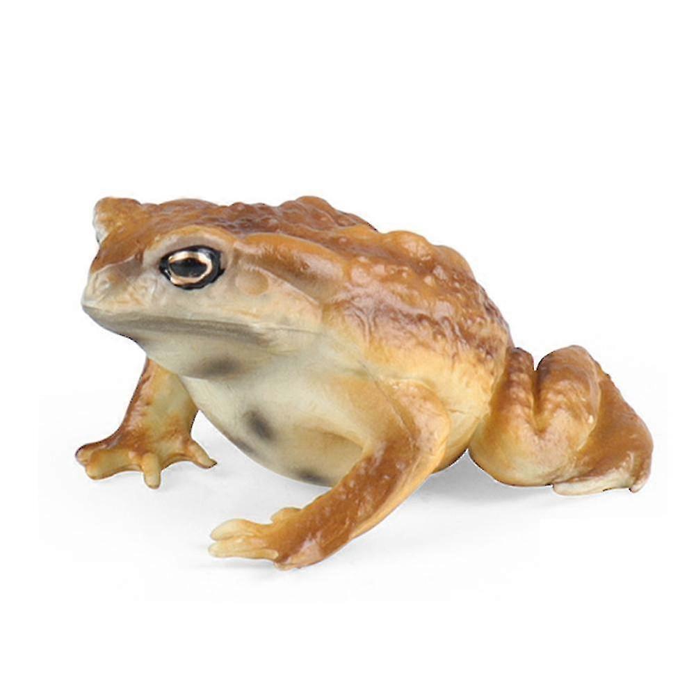 Realistic Solid Frog and Toad Animal Figurines Model Educational Toy 25-26