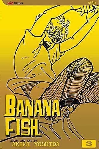 Banana Fish Vol. 3