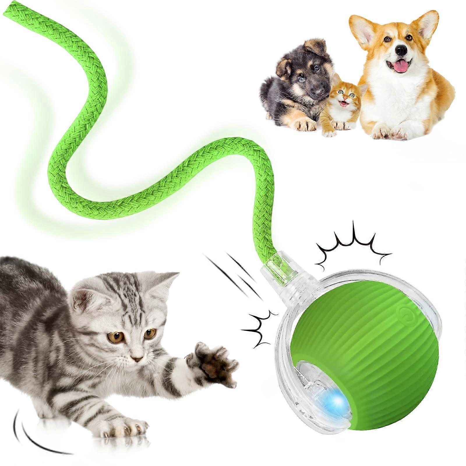 Interactive Cat Toy with 360° Rolling, Smart Motion Sensor and USB Rechargeable PetSafe Ball