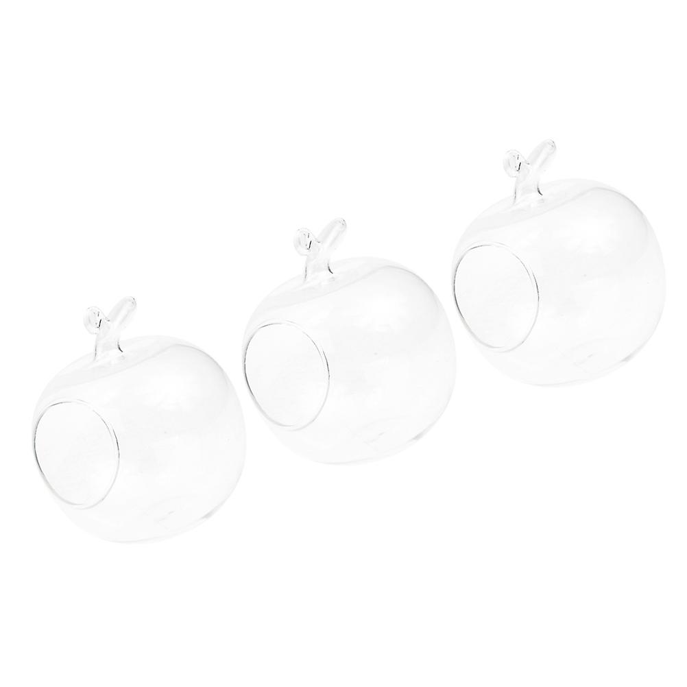 Hydroponic Bottle Clear Glass Planter for Tabletop Display 3Pcs Set