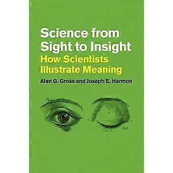 Ciencia de la vista a la penetración: cómo los científicos ilustran el significado