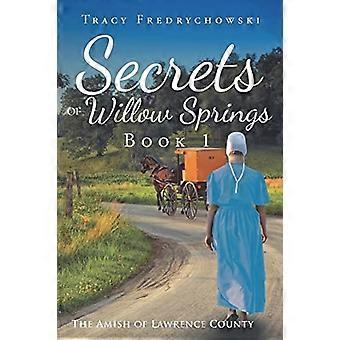 Die Geheimnisse von Willow Springs - - Buch 1: Die Amish von - Lawrence County