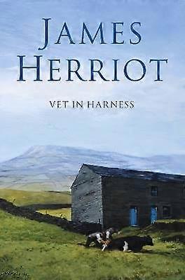 Vet in Harness