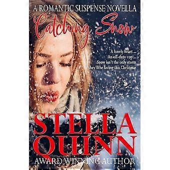 Catching snow a romantic suspense novella