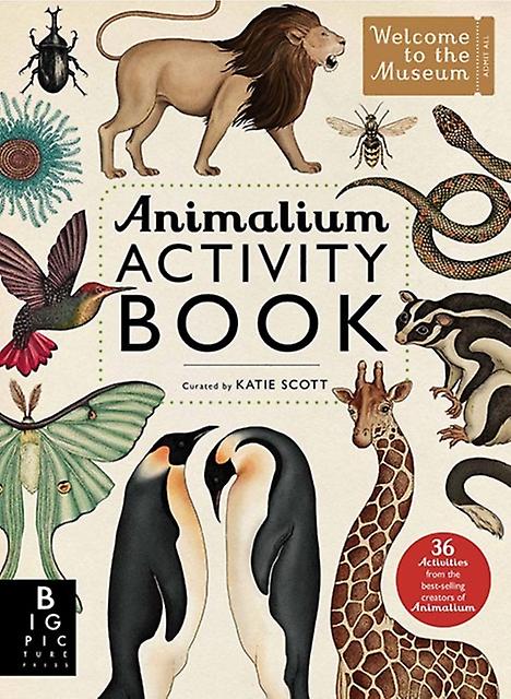 Animalium Activity Book Paperback Book