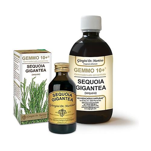 Gemmo 10+ Sequoia gigantea 100 ml