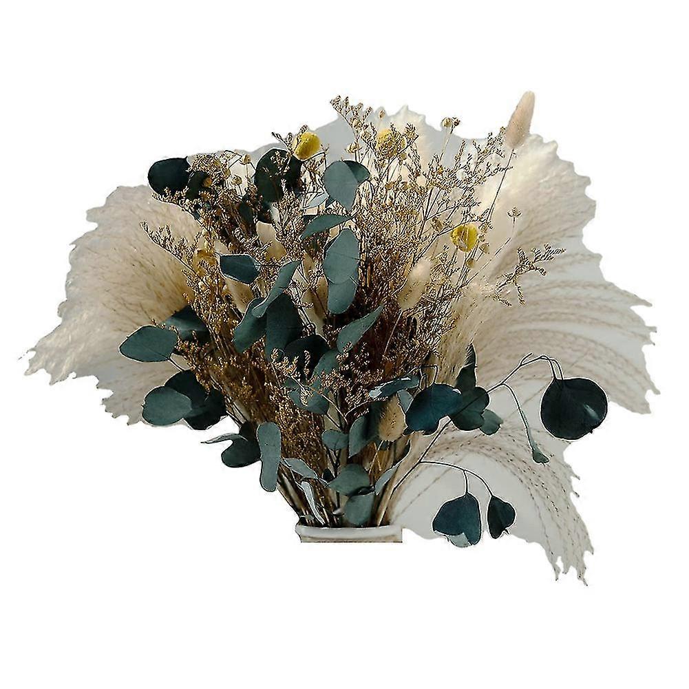 87pcs Dried Pampas Grass Boho R Fluffy Dried R Boho Bath R
