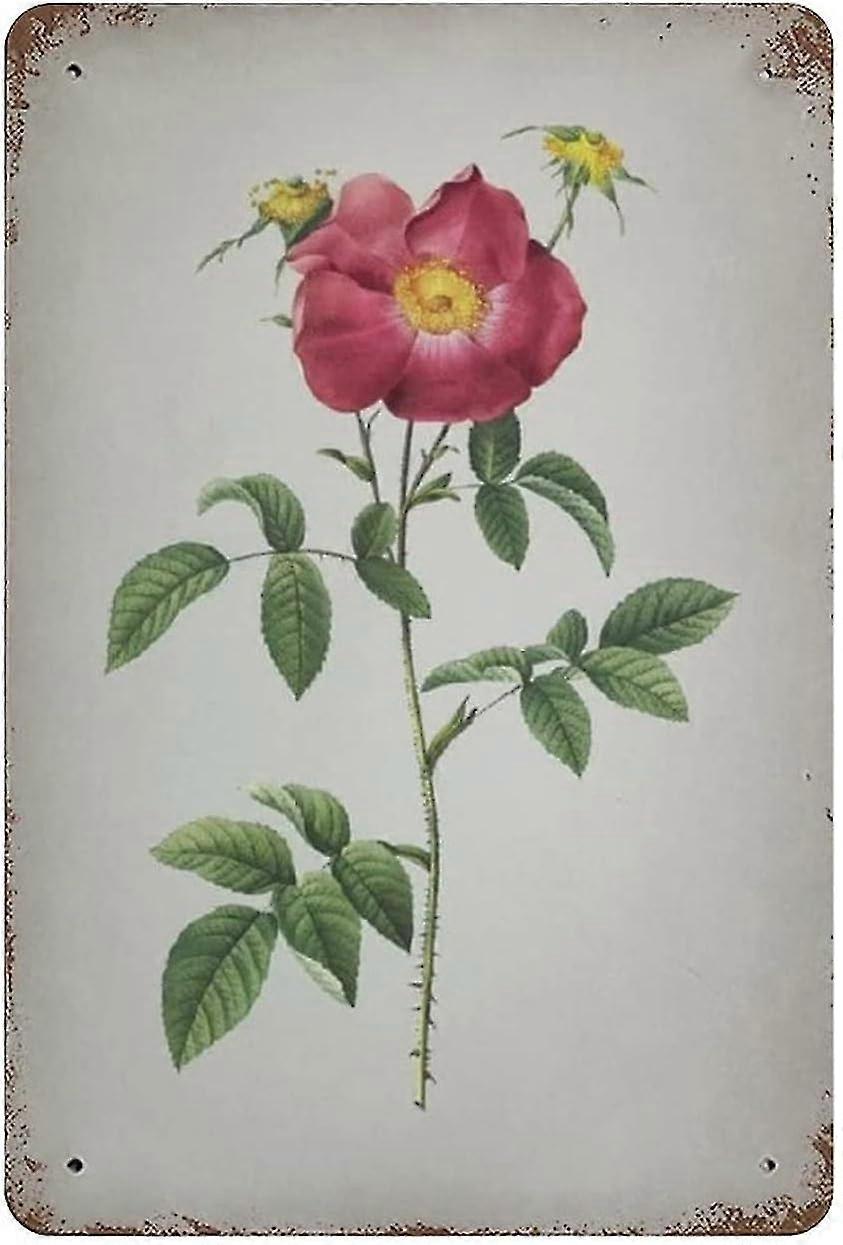 Placa de Metal Tin Twinning Red Manto Flor Vintage Tin Poster Metal Sign 8x12 Polegadas OU 12x16 Polegadas Modo 