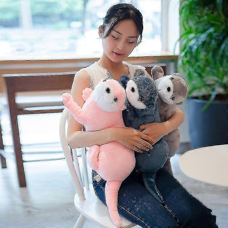 40cm-80cmリアルライフユーラシアカワウソぬいぐるみリアルな野生動物のぬいぐるみリアルなソフトカワウソおもちゃギフト子供男の子ボリス