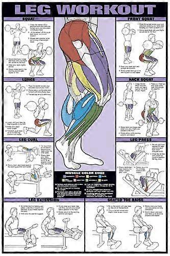 Leg Workout 24' X 36' Laminated Chart