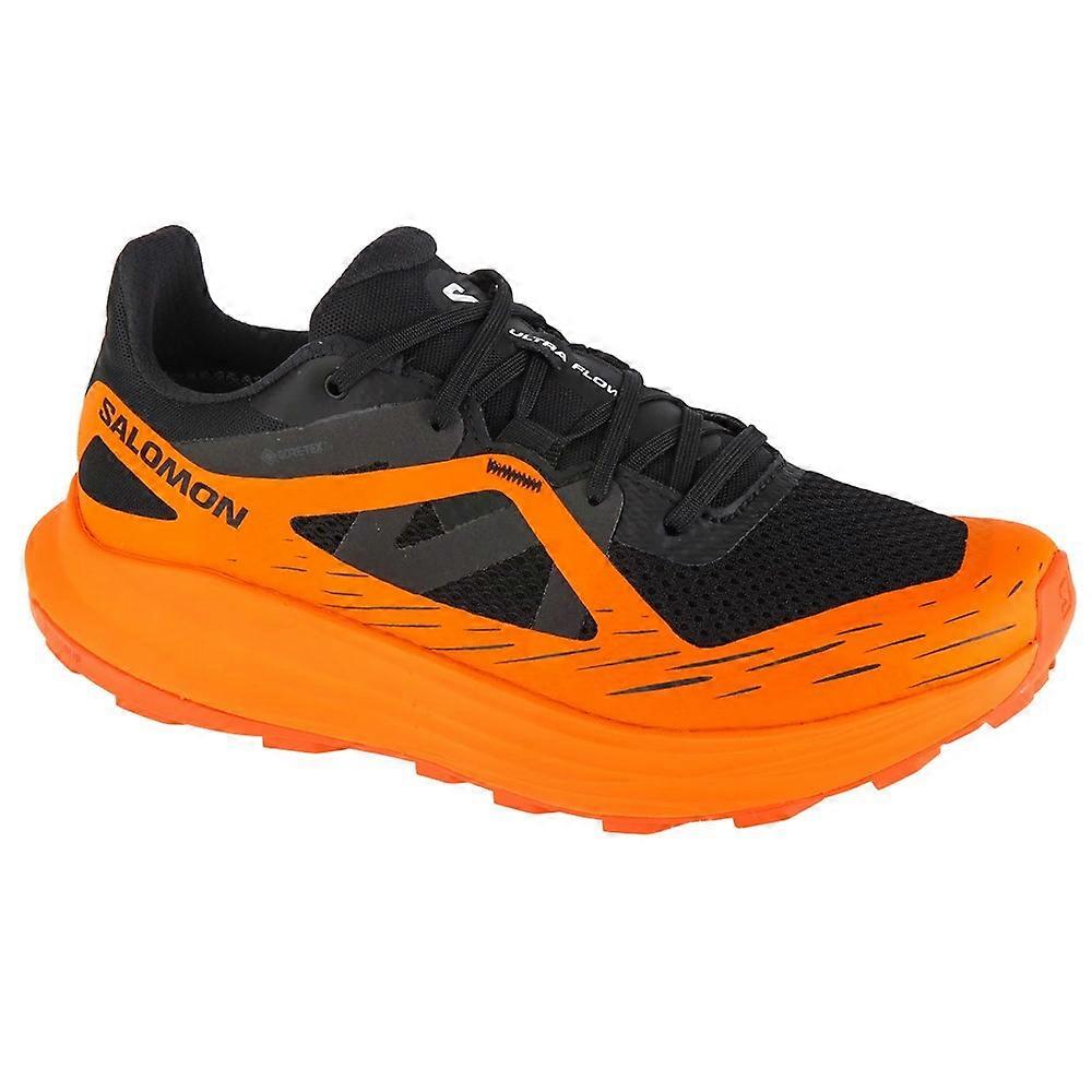 Shoes Salomon Ultra Flow Gtx 474740