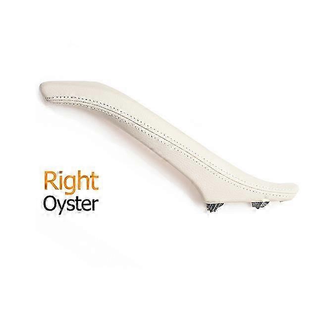 Left Right Vehicle Interior Passenger Door Leather Pull Handle Asse...