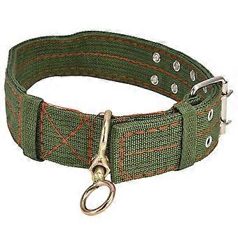 Coleira de transporte para cães, coleira de lona ajustável com alça para pescoço, equipamento veterinário, tamanho G 4,8 x 73 cm.