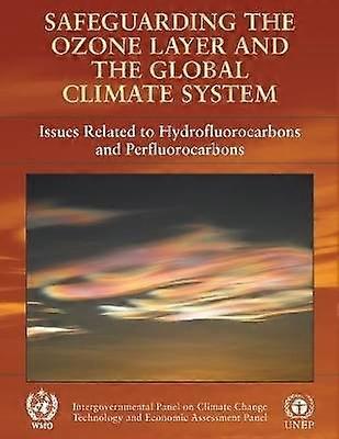 Safeguarding the Ozone Layer and the Global Climate System