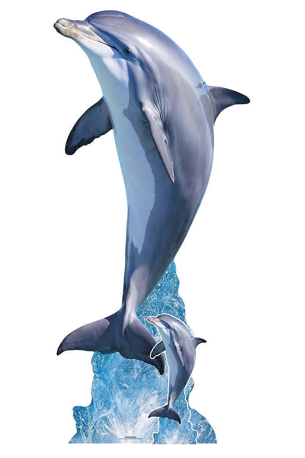 Dolphin Leaping Lifesize Cardboard Cutout / Standup / Standee