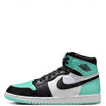 Shoes Nike Air Jordan 1 Retro High DZ5485130