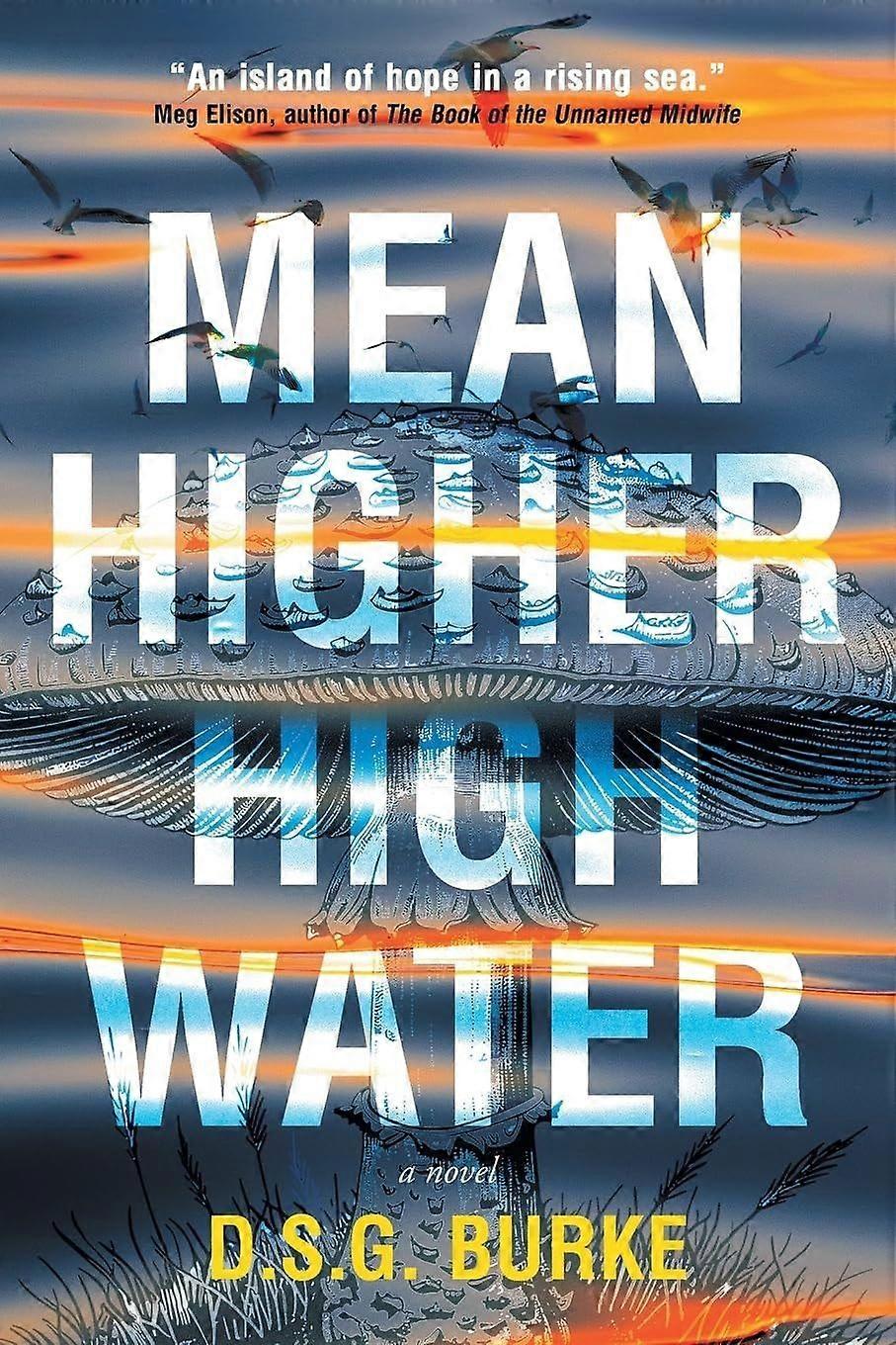 Mean higher high water