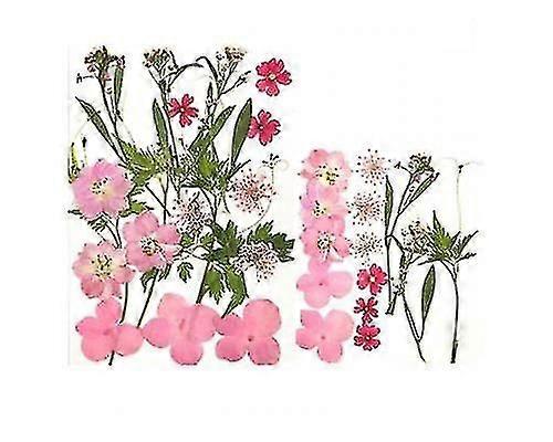 Fleurs séchées pour le scrapbooking