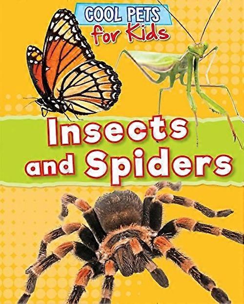 Insectes et araignées