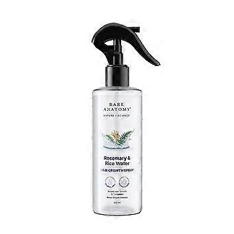 Hair Care Set for Quick Styling Before Work or Social Plans in Everyday Personal Care