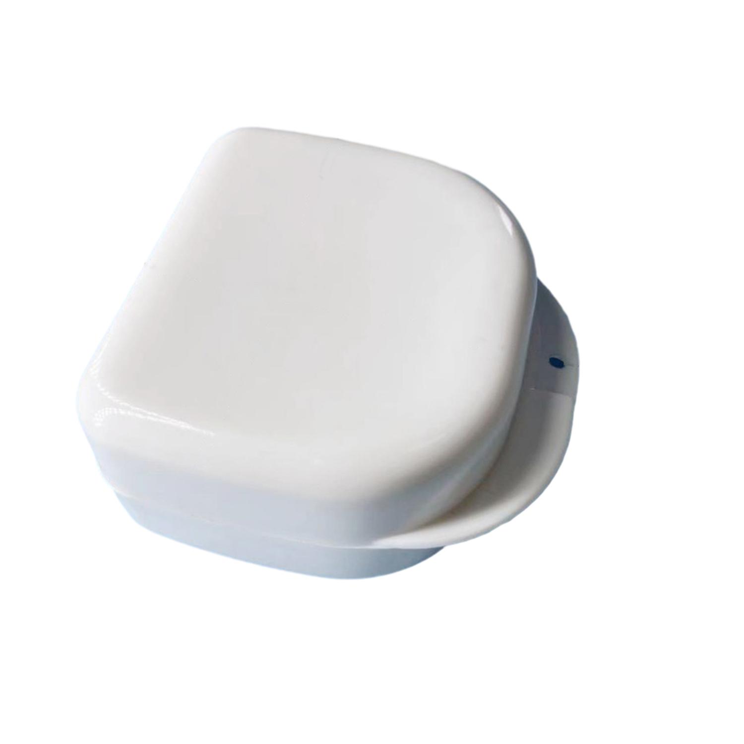1Pc/2Pcs Denture Storage Box Various Shapes Eco-friendly PP Portable User-friendly Securely Store