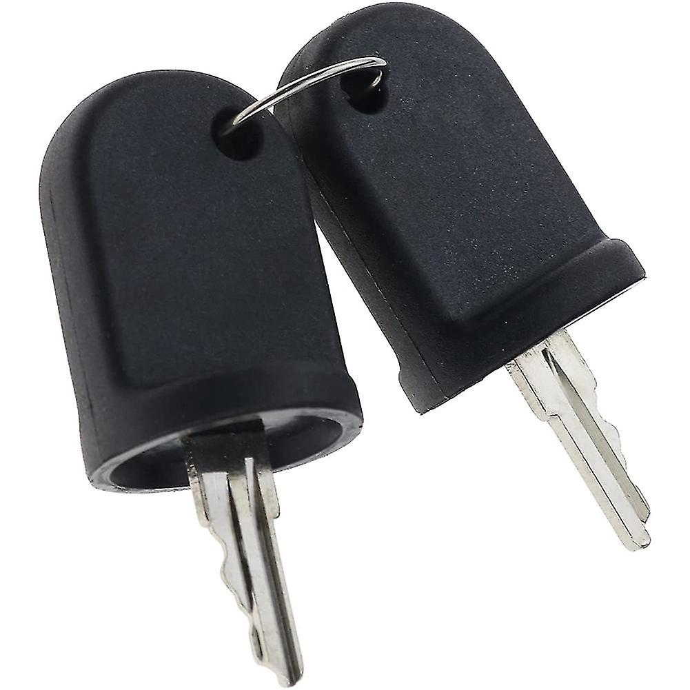 2pcs Ignition Switch Keys Compatible For Rxv G&e 611282 605946 606993 (haoyi
