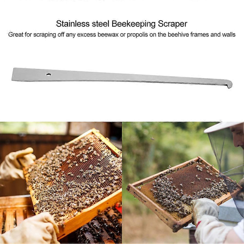 1Pc Stainless Steel Bee Hive Scraper Frame Cleaning Tool Beekeeping Tool Equipment