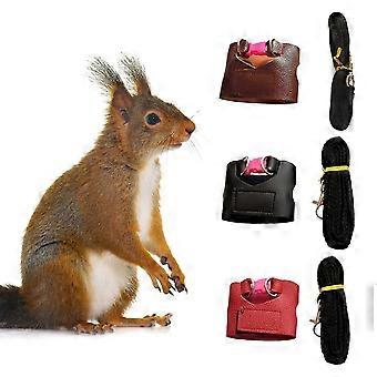 Squirrel Leash Escape Proof Easy Control Accessory Squirrel Train Tool Leash Split Vest For Outdoor