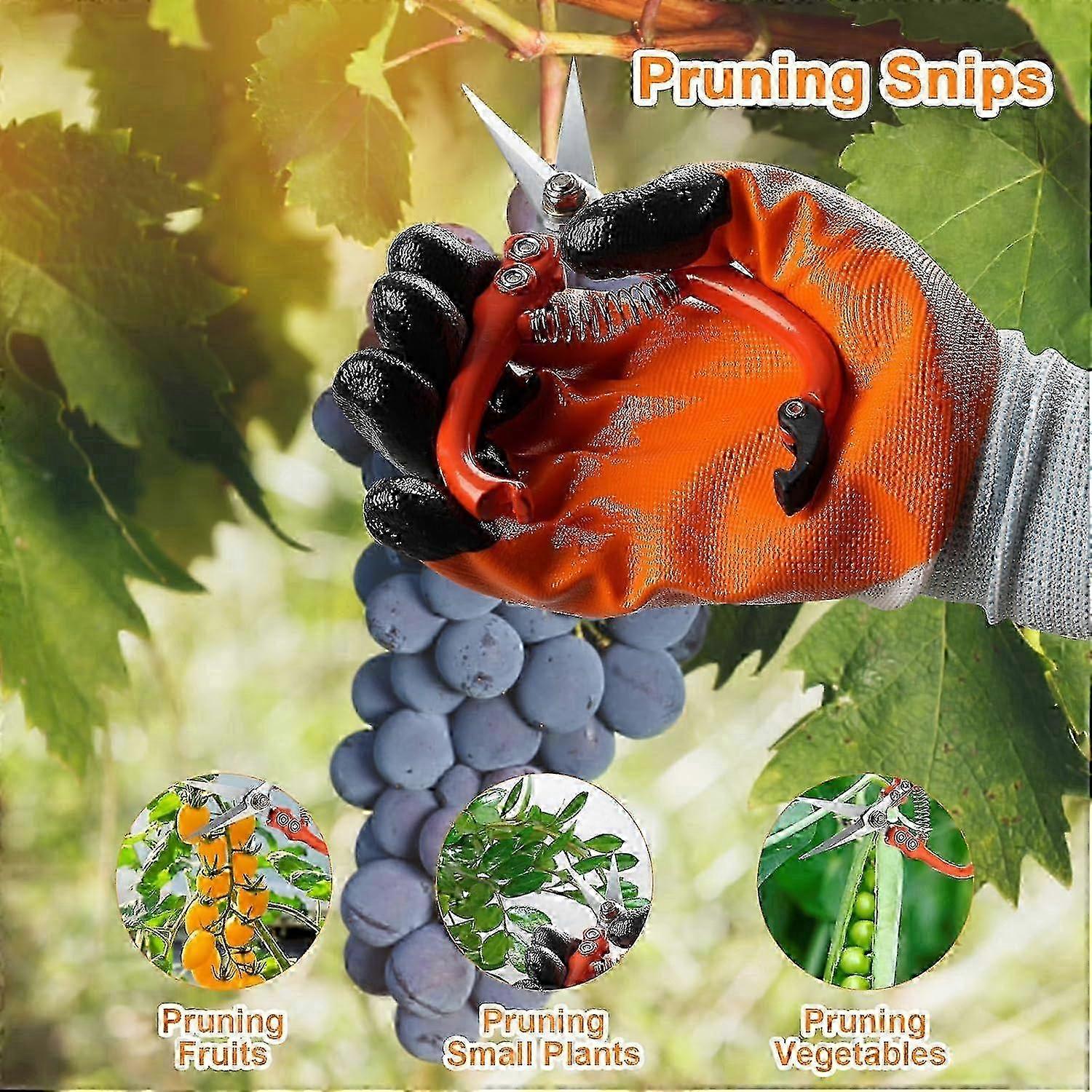 6 Pcs Pruning Shears Set for Garden Plant Care 2025