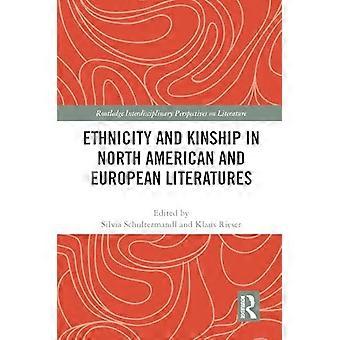 Etniciteit en verwantschap in Noord-Amerikaanse en Europese literatuur (Routledge Interdisciplinary Perspectives on Literature)