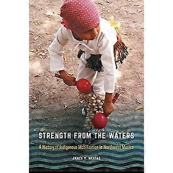 Kraft aus dem Wasser: eine Geschichte der indigenen Mobilisierung im Nordwesten Mexikos