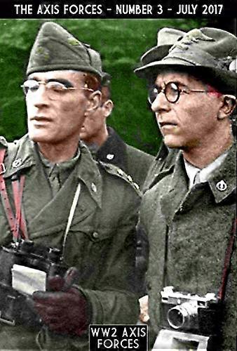 The Axis Forces 3 (Axis Force)