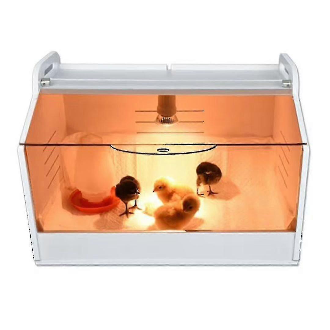 Chicken Brooding Box 220vnew Model 2024 Xgn