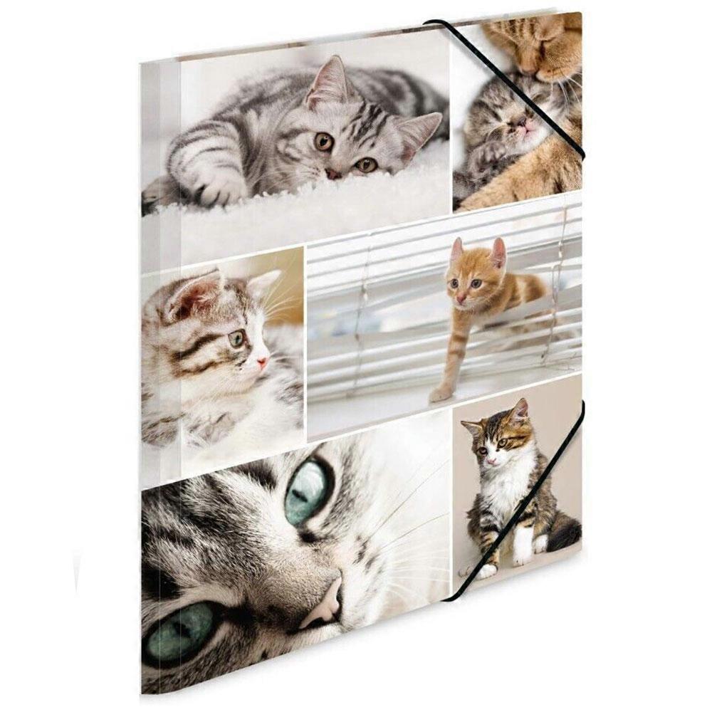 CATS Herma High Quality and Stylish Elasticated Cardboard Folder A4 Animals