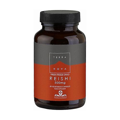 Reishi 500 mg