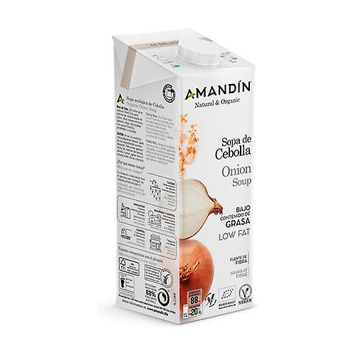 Eco onion soup 1 L
