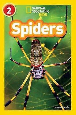 Spiders