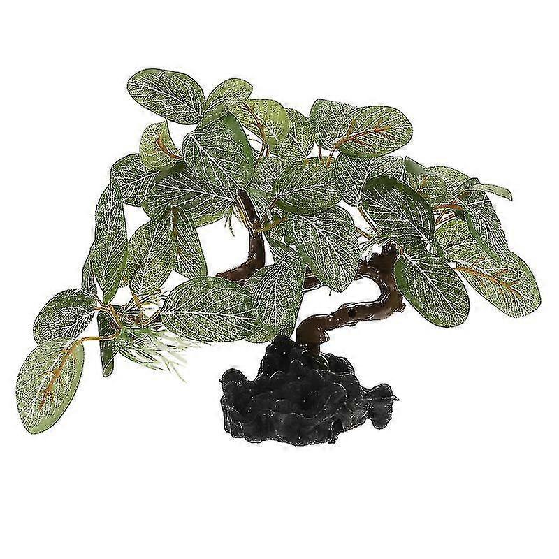 Fish Tanks Accessories